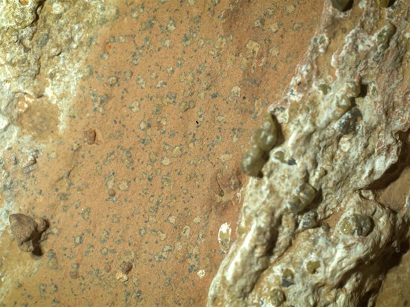 Antiche e possibili tracce biologiche (batteri) su Marte, l’annuncio della NASA su alcune “biofirme” trovate dal Rover Perseverance