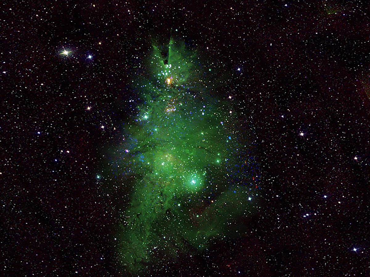 Nebulosa NGC 2264, un Albero di Natale fatto di stelle e gas spaziali