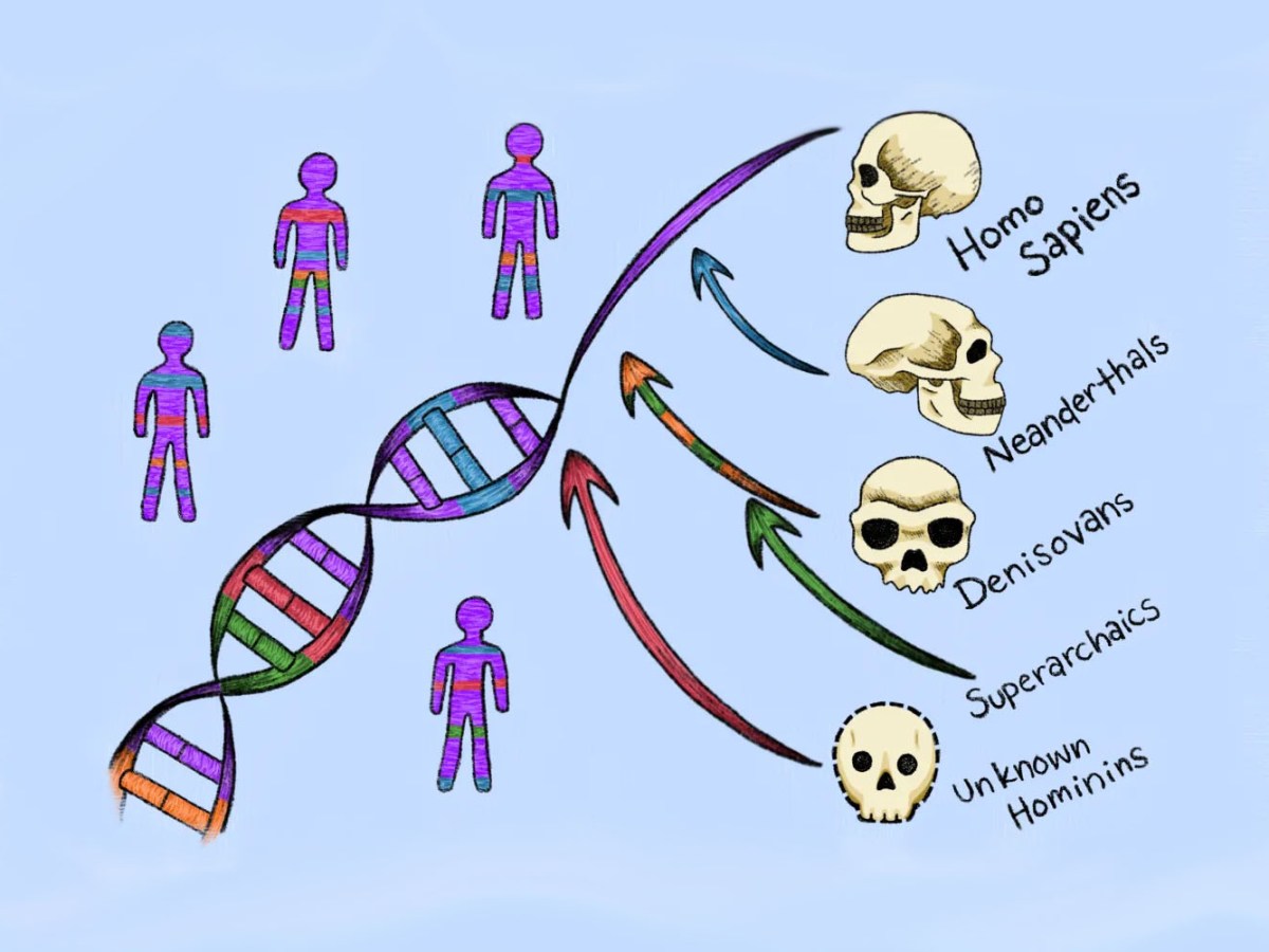 L’anello mancante genetico, sequenze genetiche del remotissimo avo, l’antenato “fantasma”, ritrovate nel DNA umano
